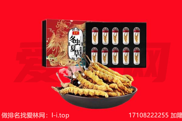 松原市宁江回收虫草.jpg